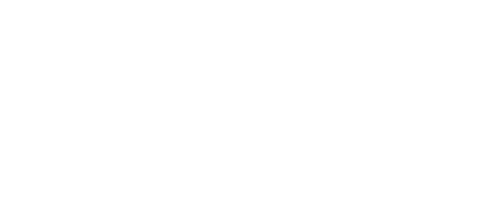 Fundación Apptitudes